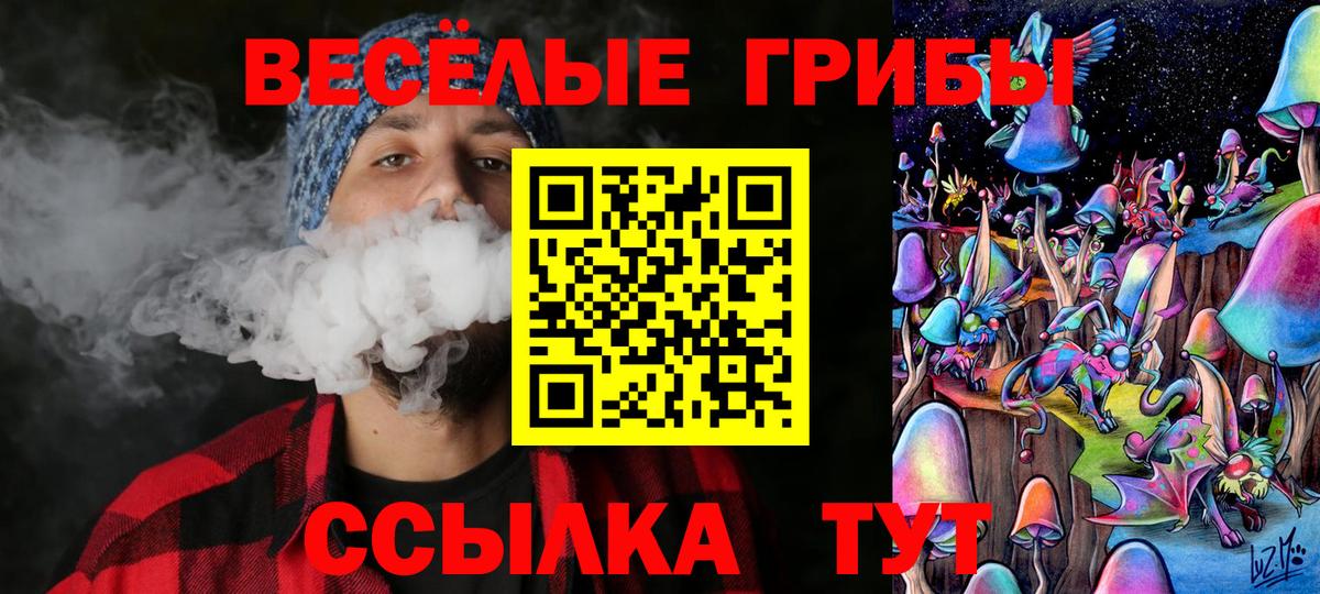 Галлюциногенные грибы MAGIC MUSHROOMS  Псилоцибиновые грибы Psilocybine cubensis  Магадан  Вход с VPN 
